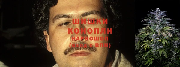 соль ск Богданович