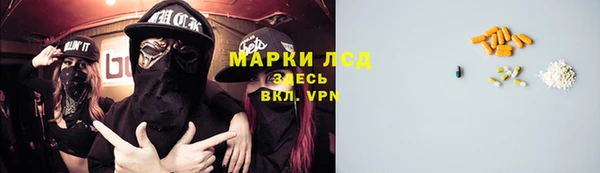 соль ск Богданович