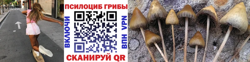 купить наркоту  Горняк  Псилоцибиновые грибы ЛСД 